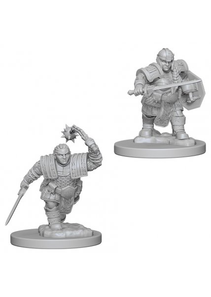 D&D Nolzur's Marvelous Unpainted Miniatures: Dwarf Female Fighter